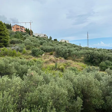 Apartamento Mileta *