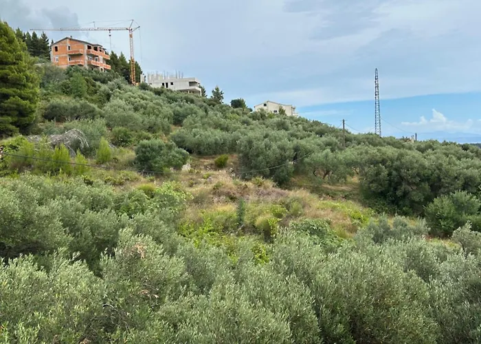 Apartamento Mileta *